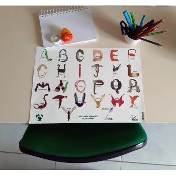 Sous-mains/set de table Abécédaire animalier de la Caraïbe